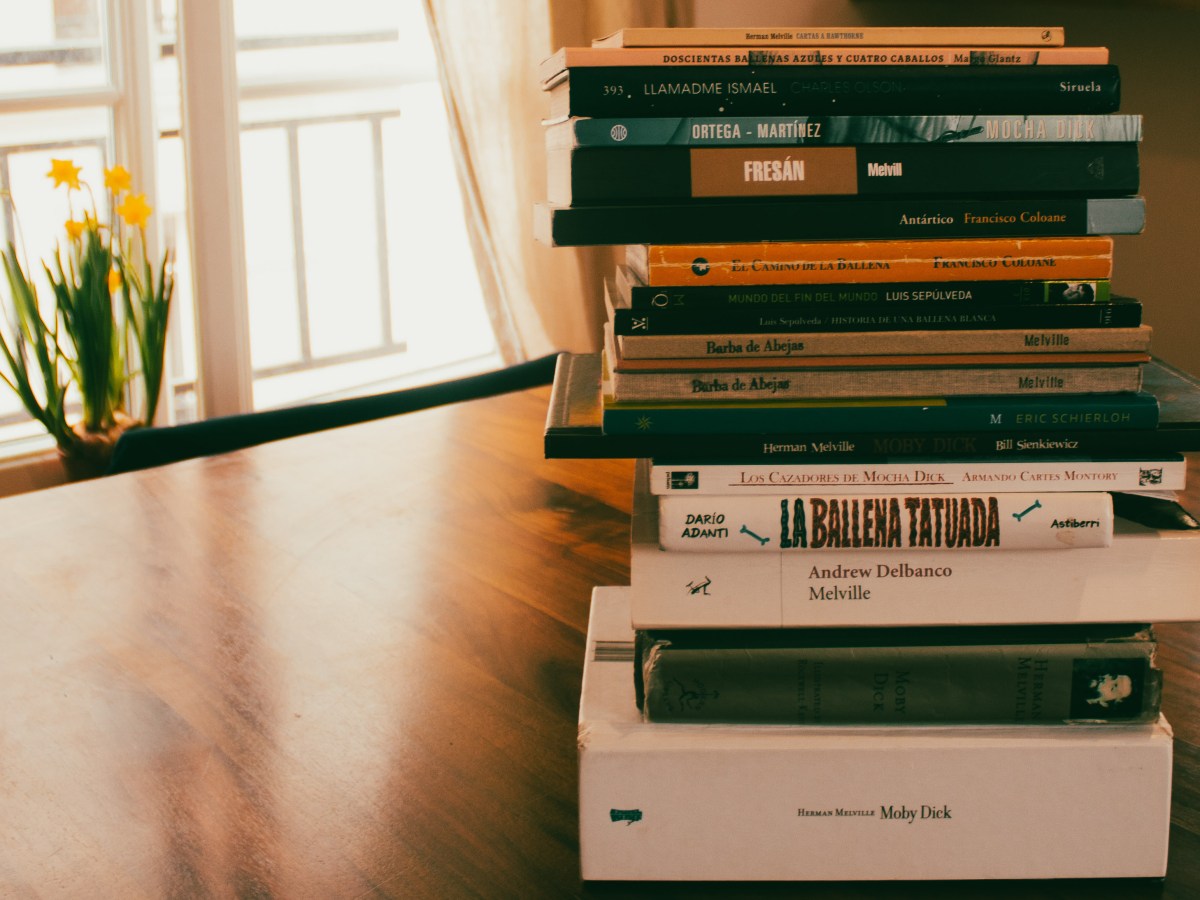 Queremos tanto a&nbsp;Melville